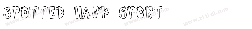 SPOTTED HAWK SPORT字体转换